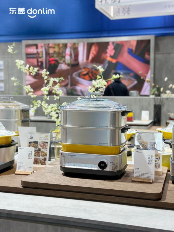 Dongling Multi-functional Electric Steamer