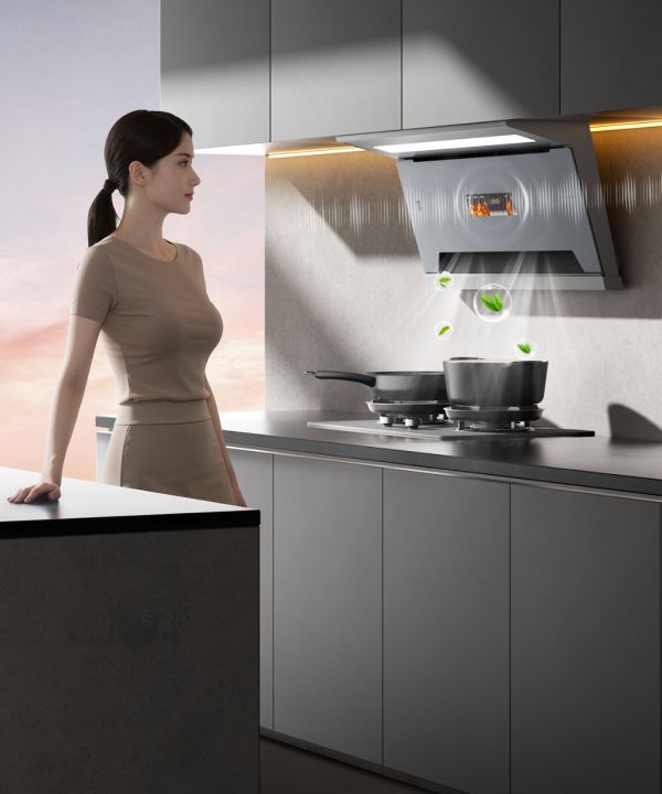 樱花吸油烟机Q801