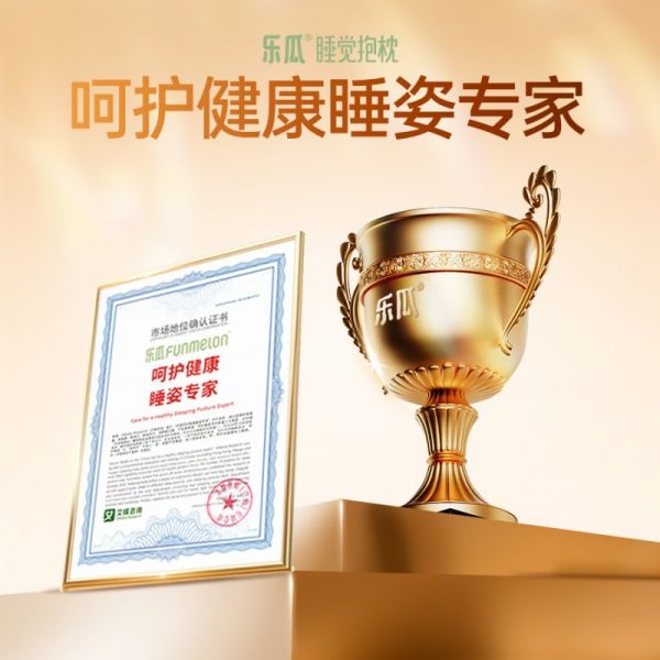 FUNMELON 乐瓜品牌荣誉