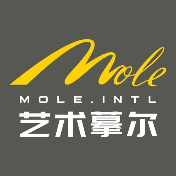 Artistic Wall Coating