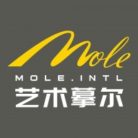 “艺术摹尔”：匠心涂料，美学空间深耕者