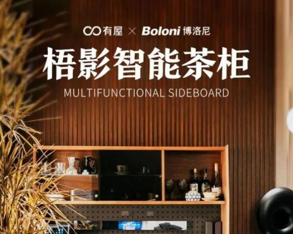 有屋×博洛尼梧影智能养生茶水柜