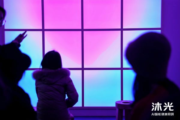 声纹识别技术展示