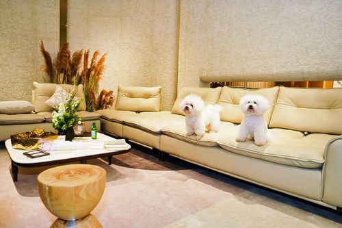 M&D阿芙佳朵TM44沙发设计师品鉴会现场