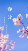 春分杉木居安，诗意板材新篇