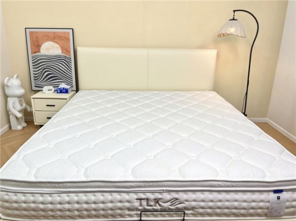 2026年乳胶弹簧床垫排行榜