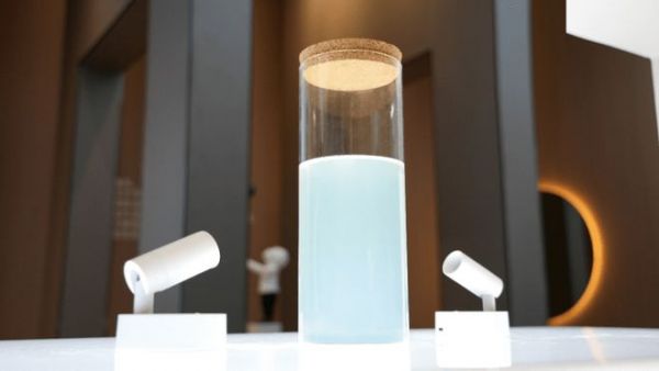 Bio-mimetic Adhesive