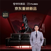 芝华仕联手马德钟，黑马精英身心归宿新定义