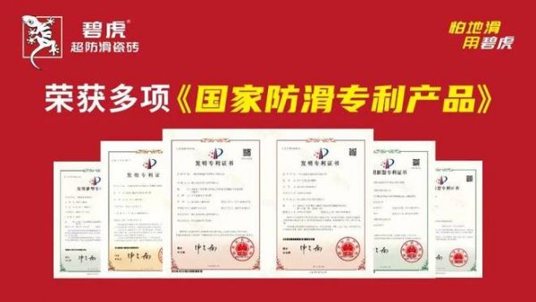 碧虎技术团队照片