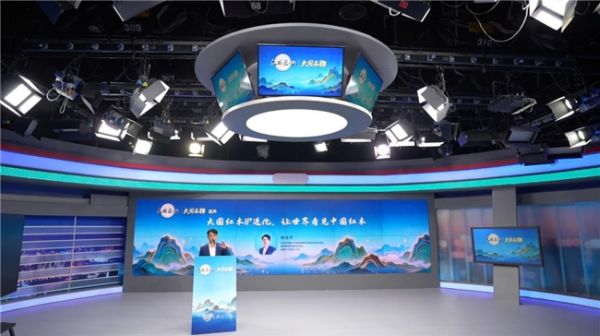 林伟华执行会长演讲