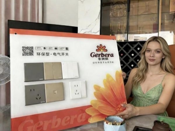 非洲菊产品高配低价模式图