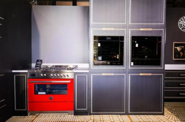 博塔桑尼专业系列与现代系列产品