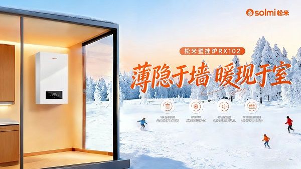 RX102系列壁挂炉