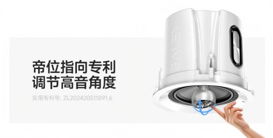 BALEY八雷帝位指向调节技术