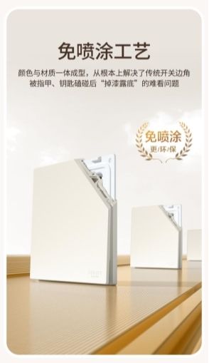 德力西电气CD295F系列开关细节图片