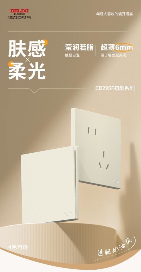 德力西电气CD295F系列开关图片