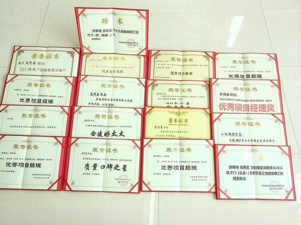 苏阿喜的高端装修项目