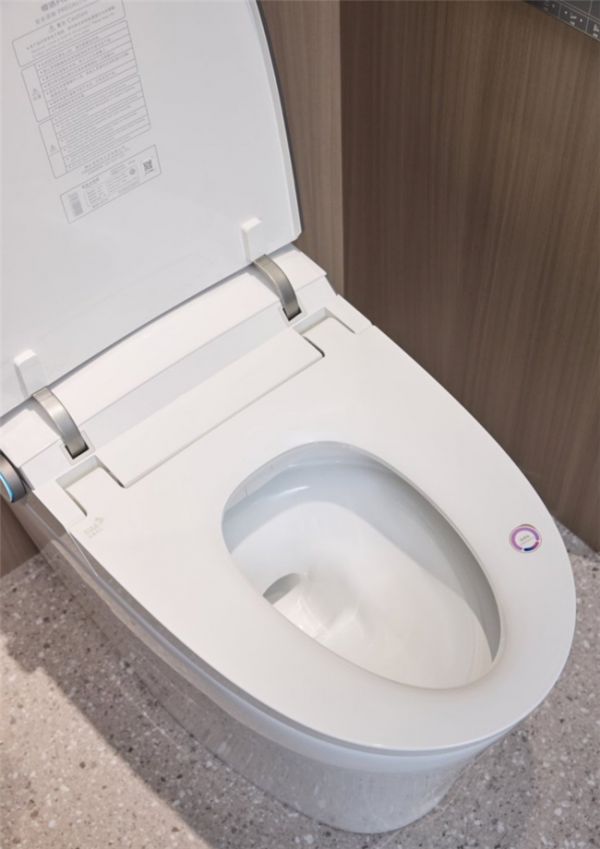 Hengjie R9 Smart Toilet Health Protection Image
