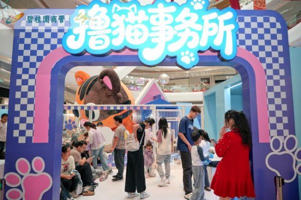 撸猫事务所门口