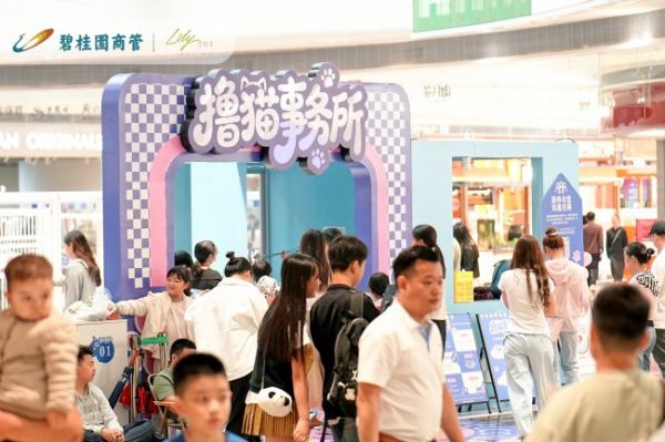 撸猫事务所内部环境