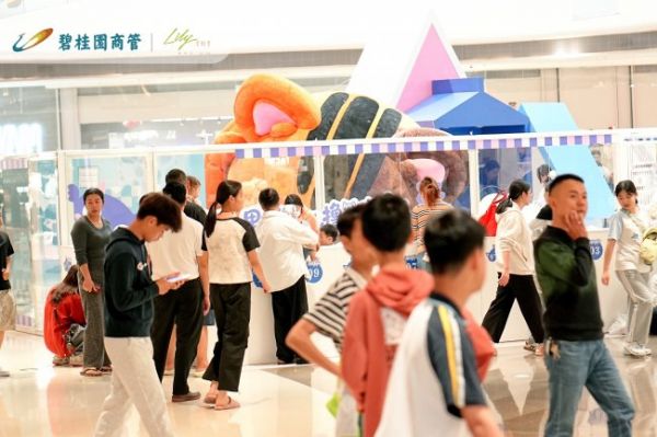 撸猫事务所内的猫咪