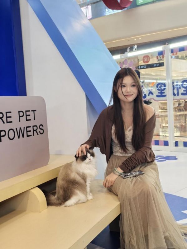 撸猫事务所内的亲子互动