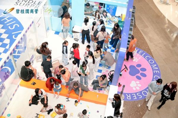 撸猫事务所的猫咪与顾客互动