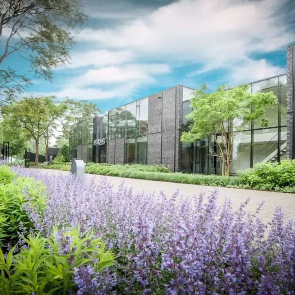 VESCOM Product Image 1