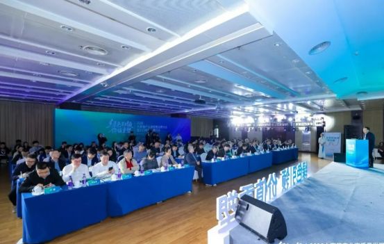 巴迈隆价值破局