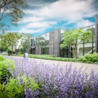 VESCOM引领软装环保，打造行业新标杆