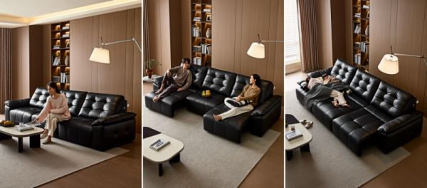 Electric Sofa Bed Model