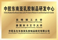 中胶永生：以低蛋白技术为核心，升级天然乳胶安全新标准