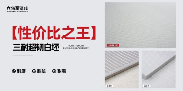 大将军瓷砖三耐超韧白坯