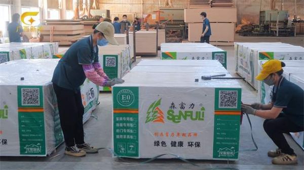 森富力板材创新产品展示照片