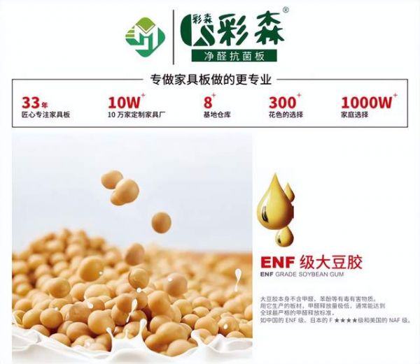 彩森板材品牌介绍图片