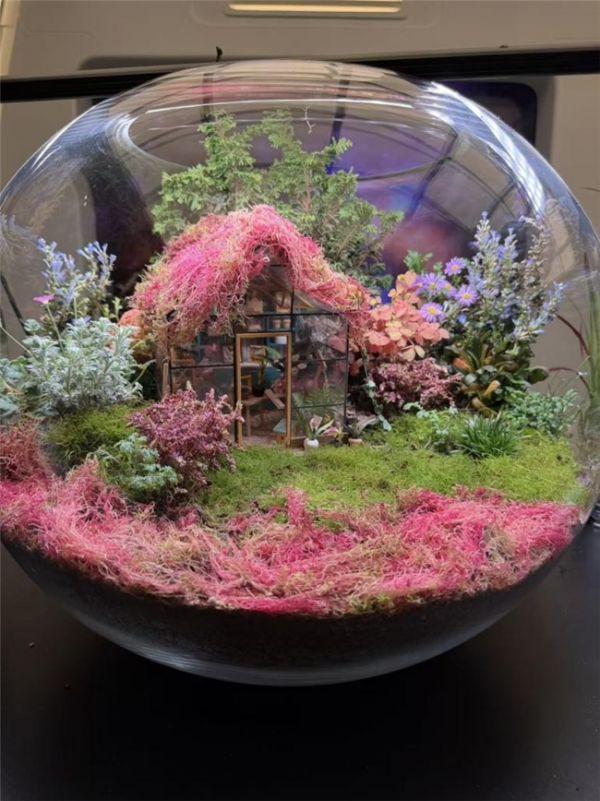 春日花海缸造景作品