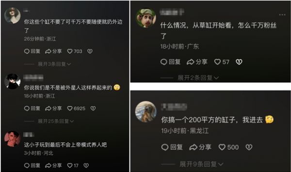 春日花海缸生态细节