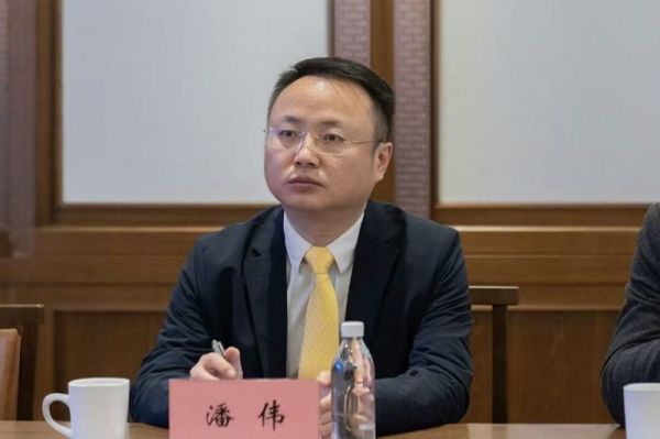 肯帝亚集团市场总经理潘伟