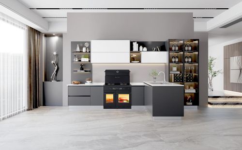 完美大M906蒸烤分体集成灶