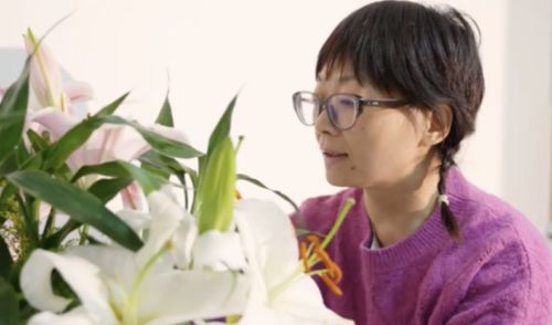 SAKURA樱花厨房产品