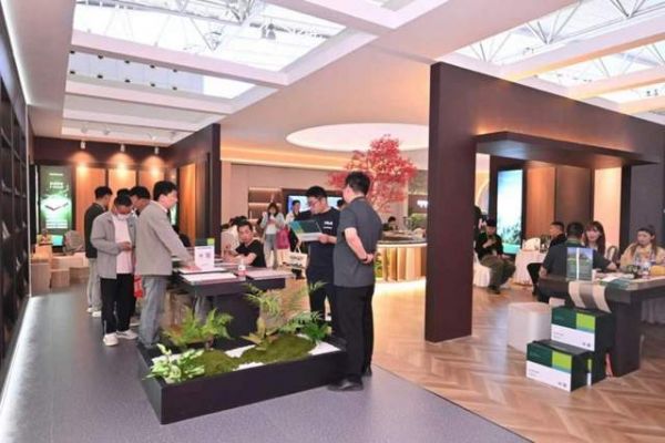 净味时代政策与需求共振图