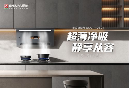 樱花吸油烟机Q801