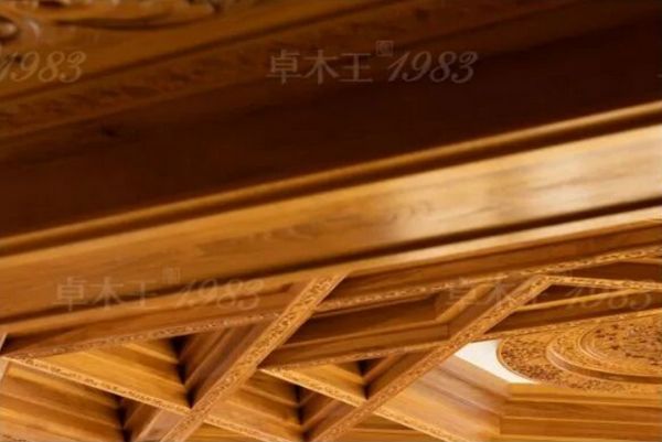 House within a House