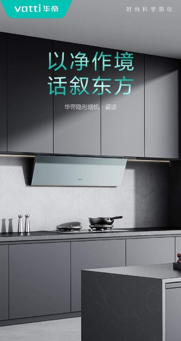 隐形超薄烟机图片