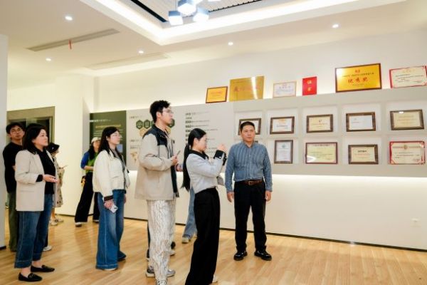 兔宝宝石膏板产品展示