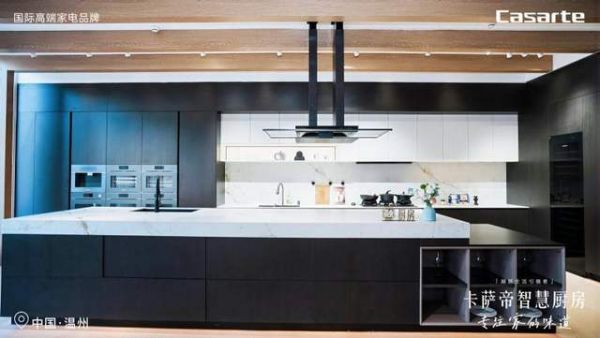 海尔厨电新品卡萨帝小炫风 Max2.0油烟机