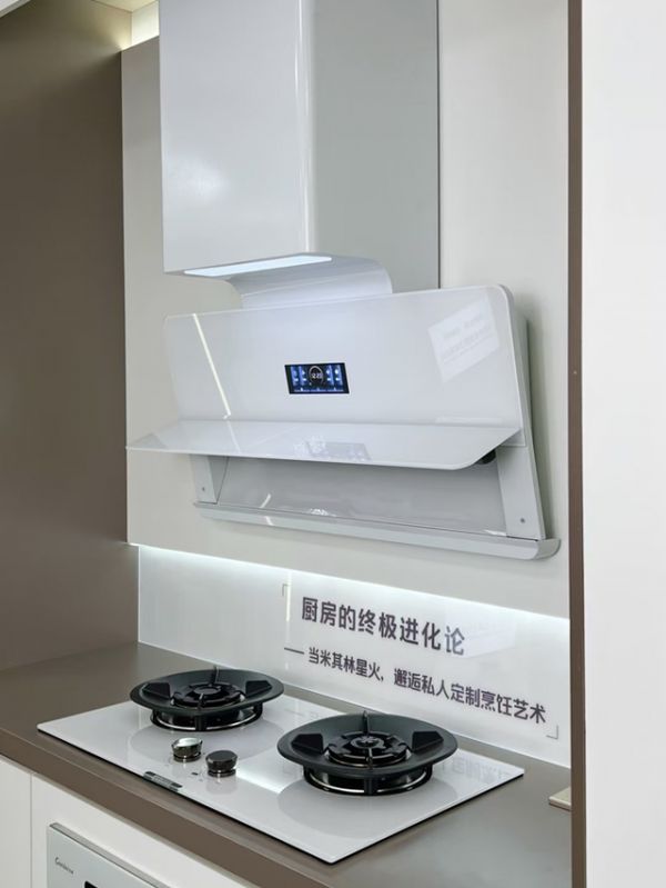 Guang Tai Gas Stove