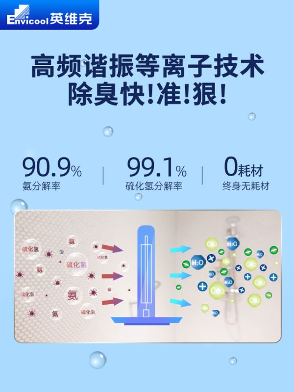 Dual Polar Ion Synergy