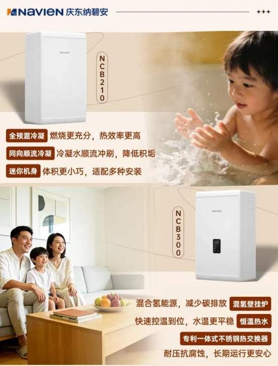 庆东纳碧安冷凝壁挂炉产品图