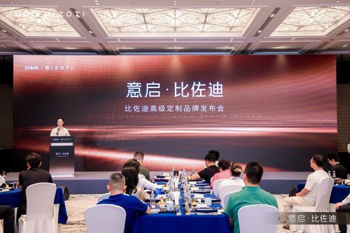 比佐迪未来经营战略规划